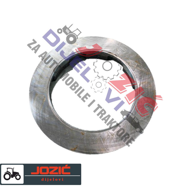 Daisy on the Ohoopee